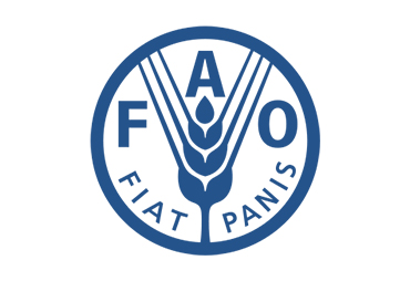 Fao Fair Precious