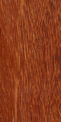Azoboje Azobé : an exceptional tropical timber