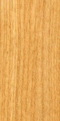 LIMBA