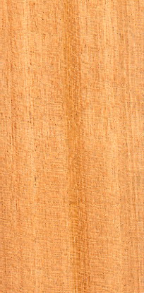 Tola: a light and tender tropical timber species for the manufacture of ...